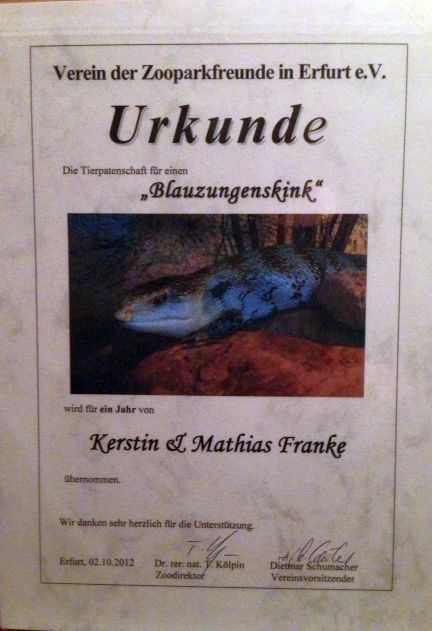 Blauzungenskink2012-2013